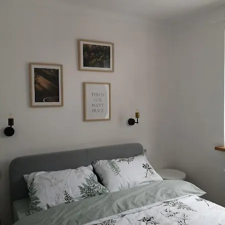 серинча * Soymy